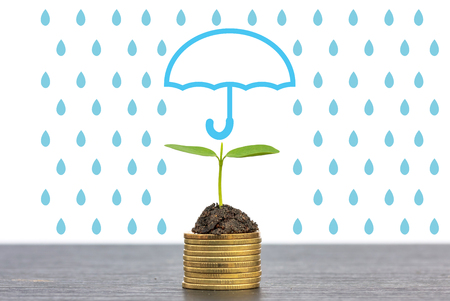 Umbrella protection money from rain,Coverage, insurance or Protection concept, Stacked coins placed and seedling on topの写真素材