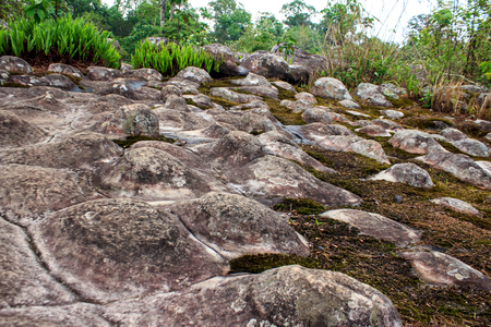 Sun Crack rocks at Phu Hin Rongkla national park, Phitsanulok, Thailandの写真素材