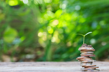 coins stacks on table with tree growing on top, nature background, money, saving and investment conceptの写真素材