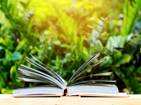 Open book with green bokeh background.