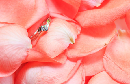 Pink rose petals and wedding ring.の写真素材