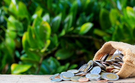 bag and some money coins on wood floor and nature background.の写真素材