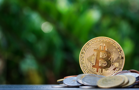 Bitcoin and pile of money on wooden table and nature background.Bitcoin as most important cryptocurrencの写真素材