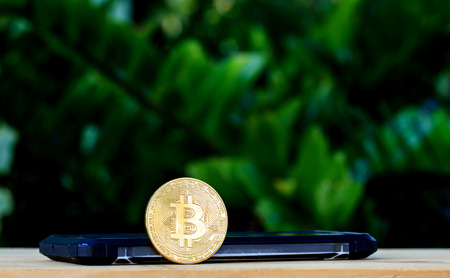Smartphone with Bitcoin Cash on nature background. cryptocurrency concept.の写真素材
