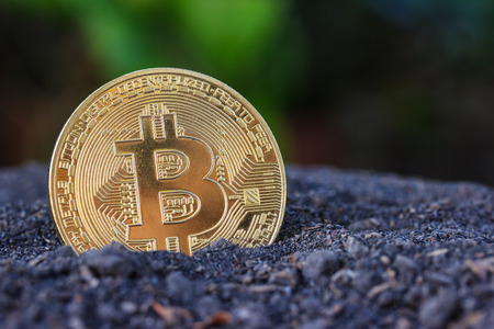 Gold Bitcoin coin on soil and nayure background.の写真素材
