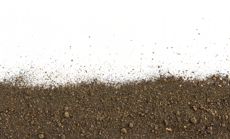 Dirty earth on white background. Natural soil textureの写真素材