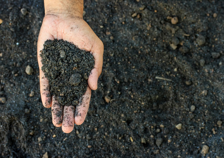 Man  hands on soil background captured from above (top view, flat lay). Agriculture, gardening or...
