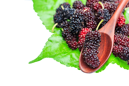 sweet mulberries and wood spoon on Green leaf  and white background.の写真素材