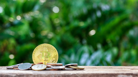 Bitcoin and pile of money on wooden table and nature background.Bitcoin as most important cryptocurrencの写真素材