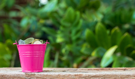 coin money on pink bucket,finance and tax concept.の写真素材