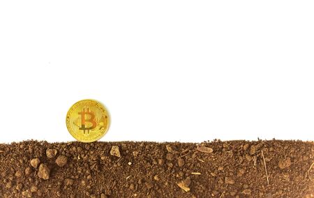 Gold coins or bitcoin on the soil Virtual money on a brown background Future investment concept