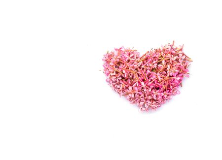 Milky Pink or Pastel pink flowers Heart shape on white background. The idea about love.の写真素材