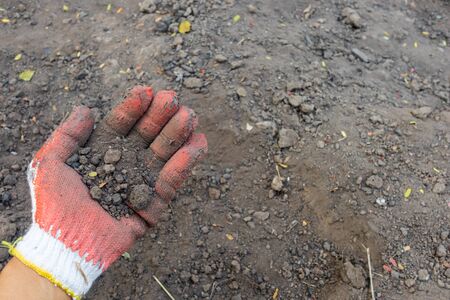 Testing the Soil sample on hand which wears a  glove with soil ground background. The concept of soil quality and farmingの写真素材