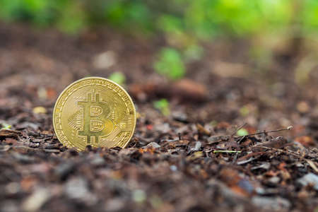 Bitcoin in the ground. Mining Golden Bitcoins conceptの写真素材