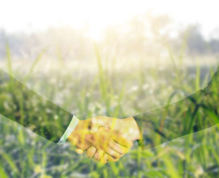 Conceptual hand shaking agreement of businessman and agriculture on rice fieldの写真素材