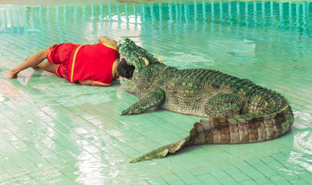 Alligator with large teeth and man in its jaws in thailandの写真素材