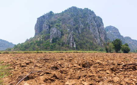 Farmers plow the fields beside the mountains to prepare for planting.の写真素材