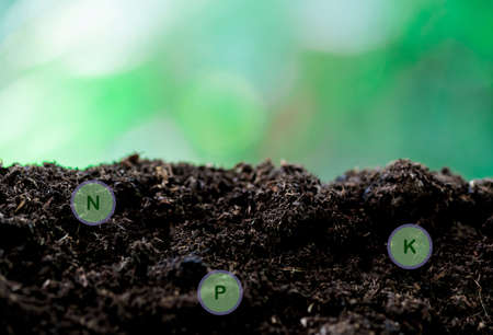 rich soil and nature background with all the elements needed to grow, while digital icons represent...
