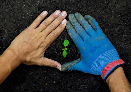 Men's hands protect young plants by rich soil with all the elements needed to grow, while digital icons represent elements.nutrients needed by plants are nitrogen, phosphorus, potassium and others.の写真素材