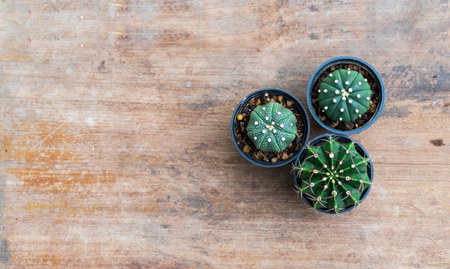 Men's hands protect young plants by rich soil with all the elements needed to grow, while digital icons represent elements.nutrients needed by plants are nitrogen, phosphorus, potassium and others.の写真素材