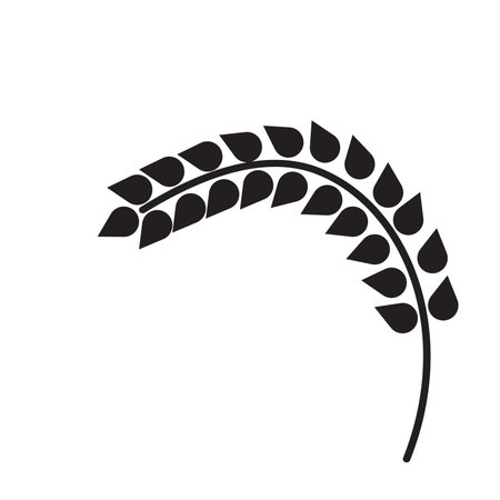 Rice. Crop symbol. Rice or Wheat ears design element. Agriculture grain. illustration.の写真素材