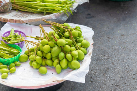 Raw or green Mangoes called king of fruits , being sold in markets and available in super markets, Local Shops in Thailandの写真素材