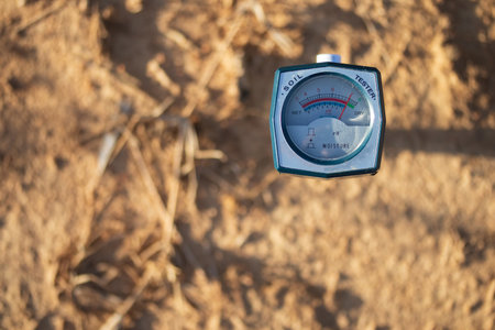 Soil pH meter and soil fertility meter for cultivation.p value It is an indicator of plant nutrient absorption. Different plants require different pH values.の写真素材