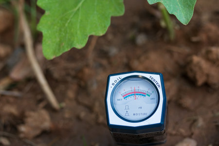 Soil pH meter and soil fertility meter for cultivation.p value It is an indicator of plant nutrient absorption. Different plants require different pH values.の写真素材
