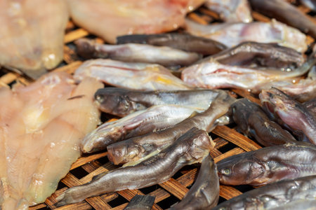 Salted fish is fish that has been preserved by means of saltingの写真素材