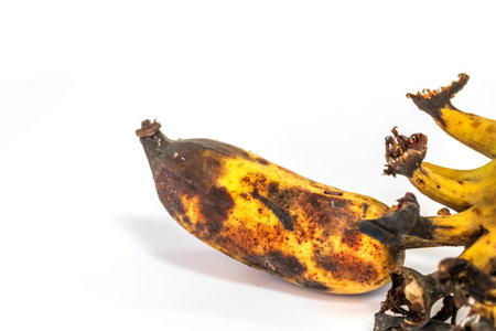 brown ripe bananas with white backgroundの写真素材