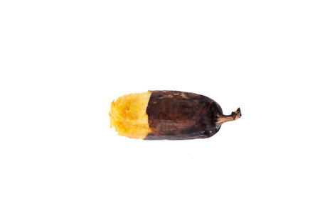 banana peel isolated on white background, can be used as a backgroundの写真素材