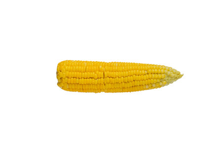 Several fragrant boiled corn  on white background.の写真素材