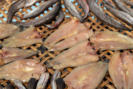 Salted fish is fish that has been preserved by means of saltingの写真素材
