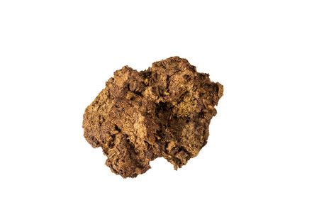Dry cow dung isolated on white backgroundの写真素材
