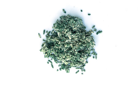 Trichoderma harzianum on white background.Used for enzyme production and biocontrol.a naturally occurring fungus that is used to protect crops from the harmful gray mold.の写真素材