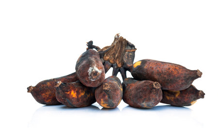 Very ripe bananas with black skin on a white background.の写真素材