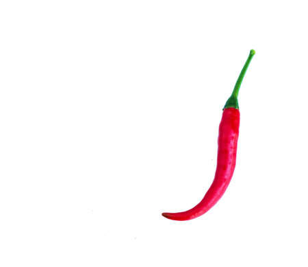 chili pepper isolated on a white backgroundの写真素材