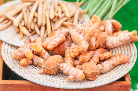 Many fresh turmeric roots as background, closeupの写真素材