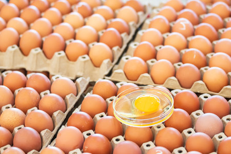 brown eggs lay on an egg tray with an eggshell on a white background. There was a broken egg, showing the yolk inside.の写真素材