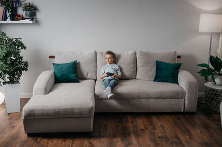 Happy boy playing video games holding game controller sitting on the coach in living roomの写真素材