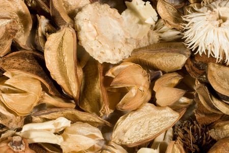 Dried flowers and leaves (as an autumn background)
