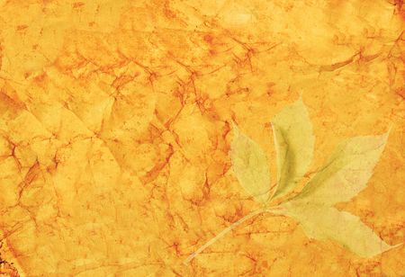 Crumpled and stained old paper with a transparent leafの写真素材