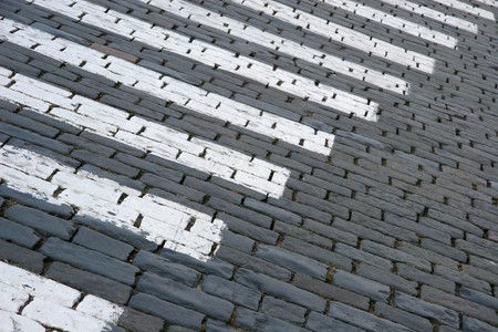 Closeup of block pavement with a zebra (as a background)