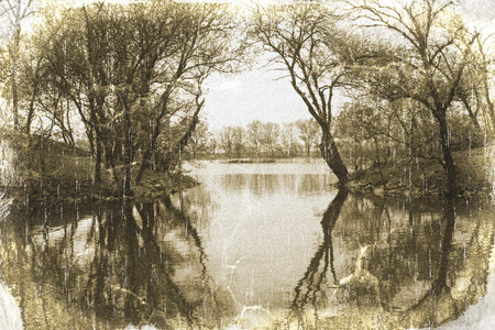 Beautiful landscape with a pond and trees vintage style