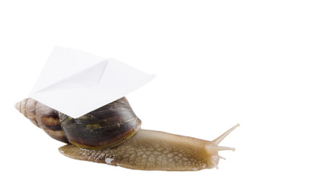 Snail carrying an envelope, isolated on white, with empty space for your text (snail mail concept)の写真素材