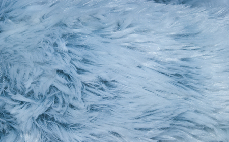 Beautiful sparkling blue fur texture (as a winter background)の写真素材