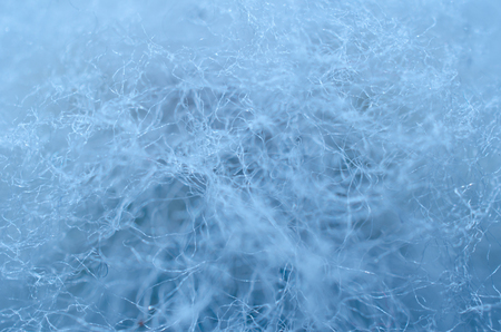Blurred fluffy fiber texture (macro shot, very shallow DOF) as an abstract background in blue tonesの写真素材
