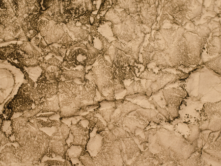 Stained old paper in sepia (as an old paper background or old paper texture)の写真素材