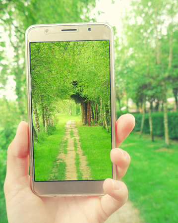 Hand with a smartphone taking a photo of a lane going through a beautiful arch alley of birth-treesの写真素材