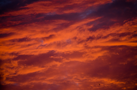 Dramatic sunset sky with bright orange and red clouds and with tiny blurred black silhouettes of birds flying in the sky (as an abstract background)の写真素材